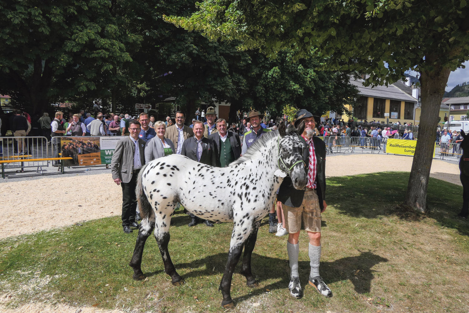 Tigermarkt 2025.jpg © Pferdezuchtverein P9