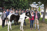 Tigermarkt 2025.jpg © Pferdezuchtverein P9