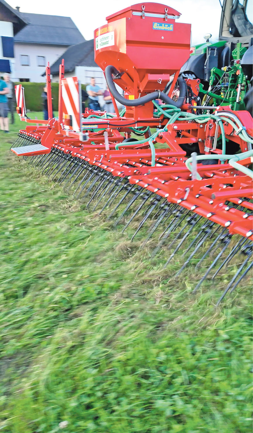 Streicheleinheiten bringen den Wiesen meist gar nichts.jpg © Dürnberger