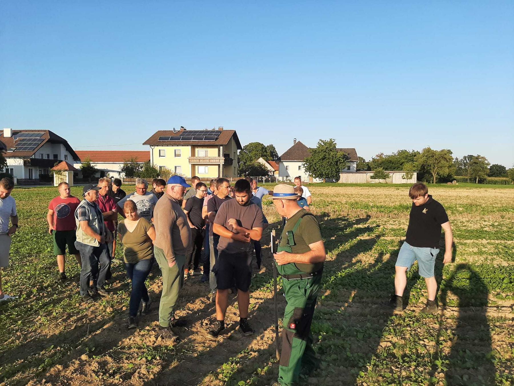 Eindrücke von der Feldbegehung des Arbeitskreises "Traun-Alm-Nord" am Betrieb Kastenhuber in Bad Wimsbach-Neydharting. Rund 40 Teilnehmer informierten sich zu den Themen Zwischenfruchtbau, Düngung und über aktuelle Versuchsergebnisse. Danke für das rege Interesse! © BWSB/Schütz