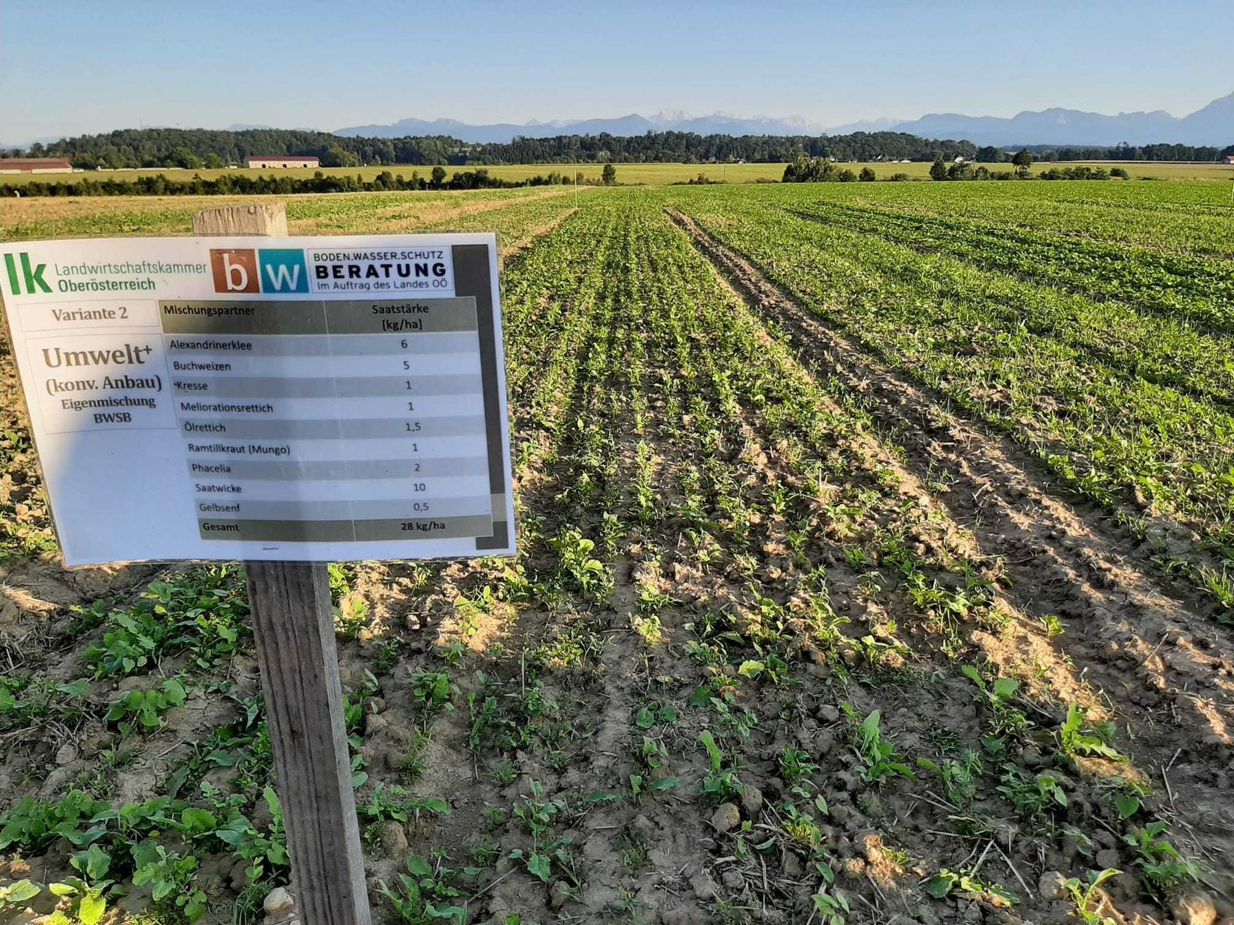 © BWSB/Schütz © BWSB/Schütz
