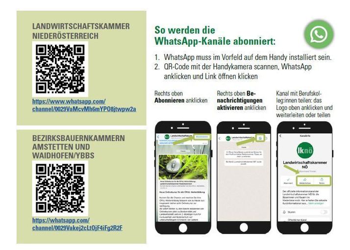 WhatsApp-Kanal.jpg © LK NÖ
