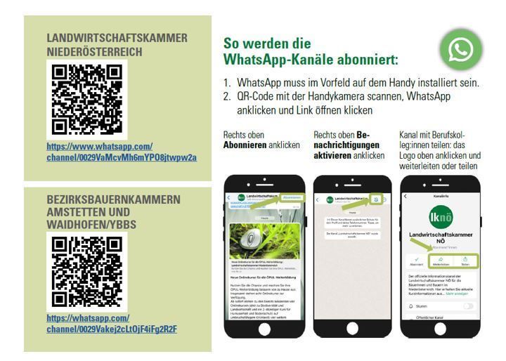WhatsApp-Kanal.jpg © LK NÖ