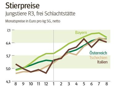 NÖ: Ausblick auf den Schlachtstiermarkt im September 2025 © LK NÖ