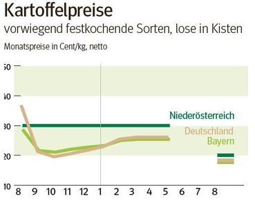 NÖ: Ausblick auf den Kartoffelmarkt im September 2025 © LK NÖ