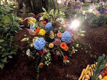 BBK Tullnerfeld.jpg © BBK Tullnerfeld BBK Tullnerfeld.jpg © BBK Tullnerfeld