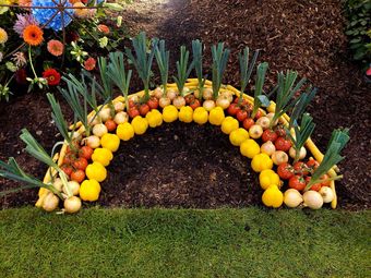 IMG-20250828-WA0002.jpg © BBK Tullnerfeld IMG-20250828-WA0002.jpg © BBK Tullnerfeld