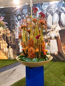 IMG-20250828-WA0004.jpg © BBK Tullnerfeld