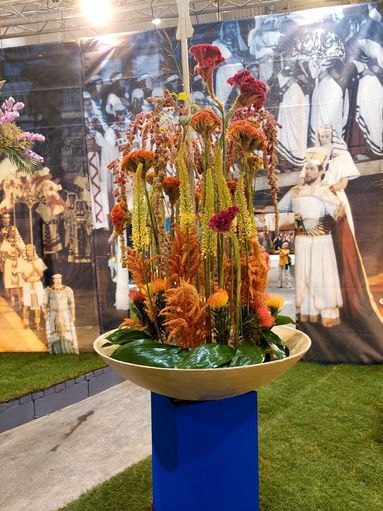 IMG-20250828-WA0004.jpg © BBK Tullnerfeld