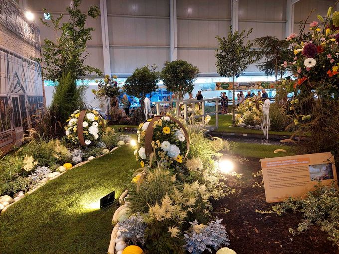 IMG-20250828-WA0005.jpg © Archiv