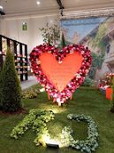 IMG-20250828-WA0006.jpg © BBK Tullnerfeld