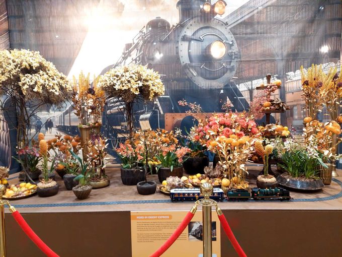 IMG-20250828-WA0009.jpg © BBK Tullnerfeld