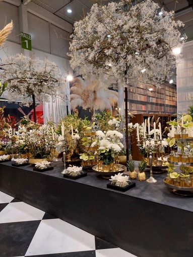 IMG-20250828-WA0011.jpg © Archiv