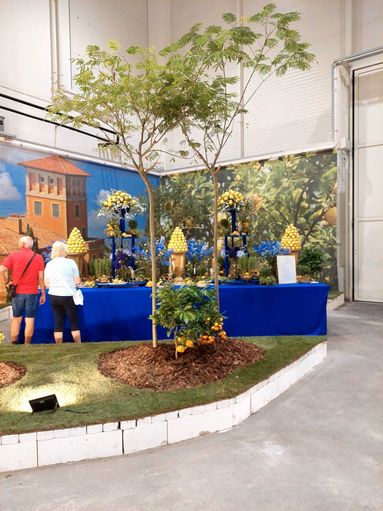 IMG-20250828-WA0015.jpg © BBK Tullnerfeld