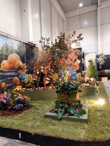 IMG-20250828-WA0016.jpg © BBK Tullnerfeld