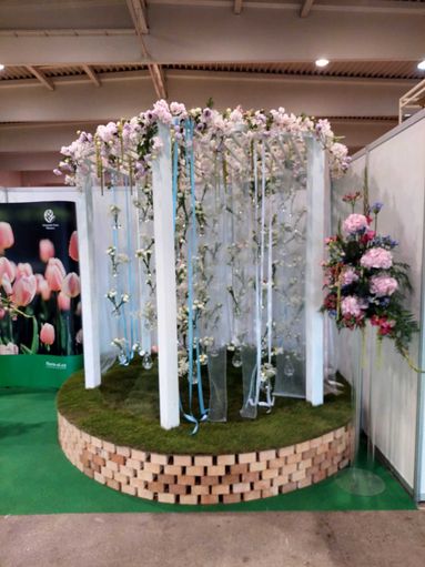 IMG-20250828-WA0019.jpg © BBK Tullnerfeld