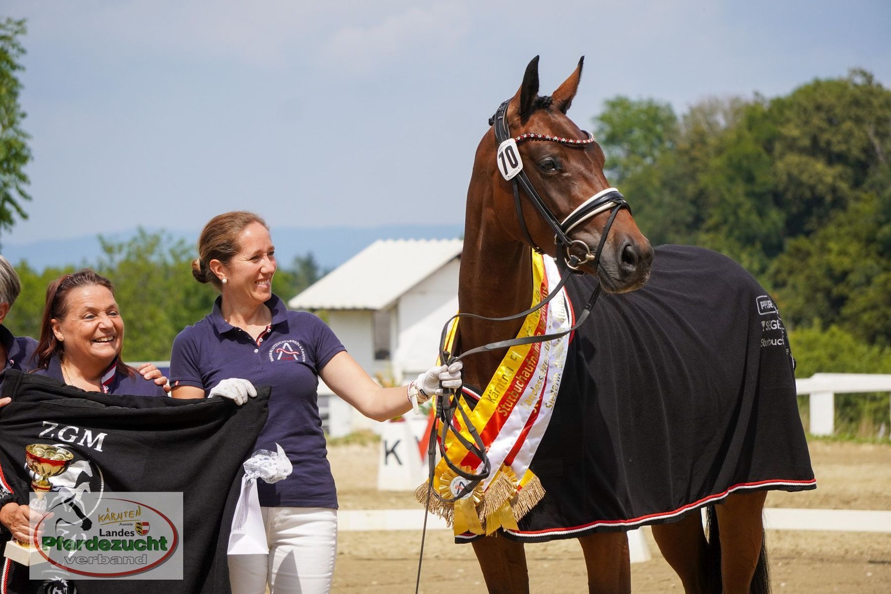 Warmblut_ Everie.jpg © LPZV/Wuzella