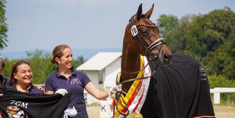 Warmblut_ Everie © LPZV/Wuzella Warmblut_ Everie © LPZV/Wuzella