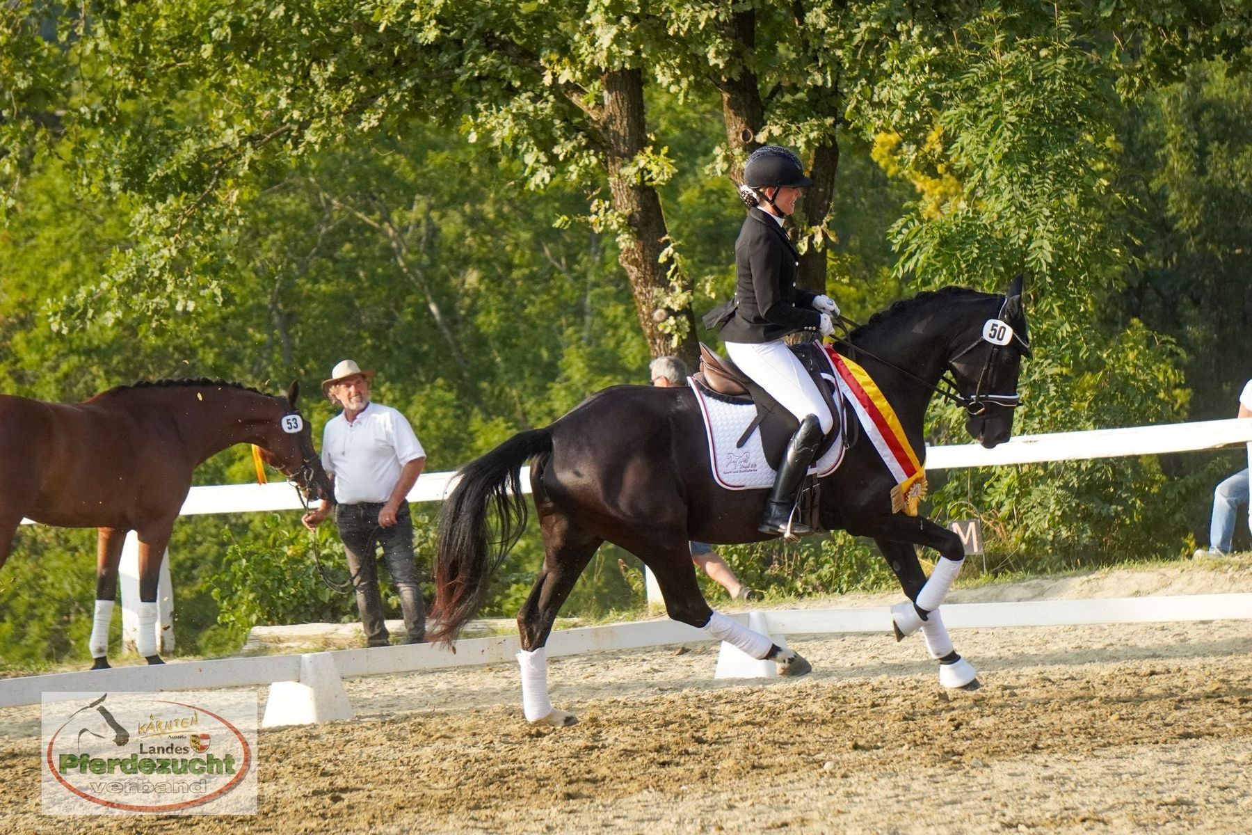 Warmblut_Draxls Laila.jpg © LPZV/Wuzella