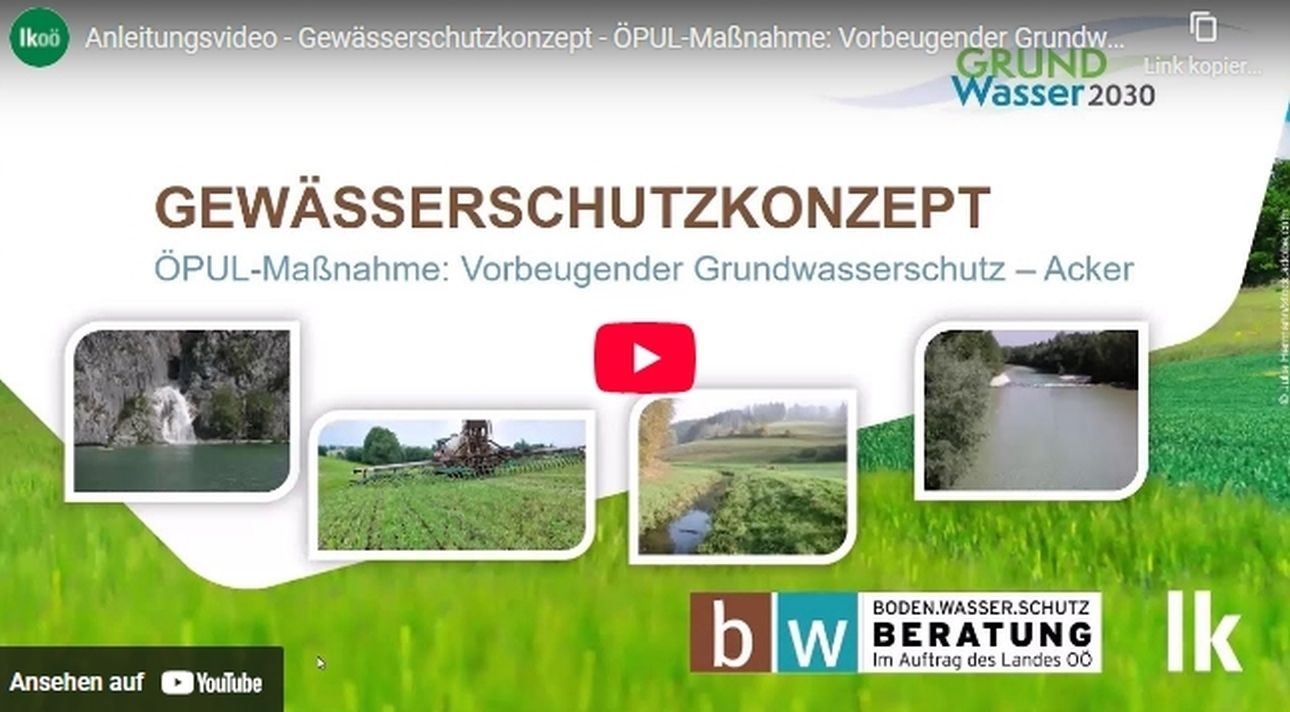 Anleitungsvideo.jpg © BWSB