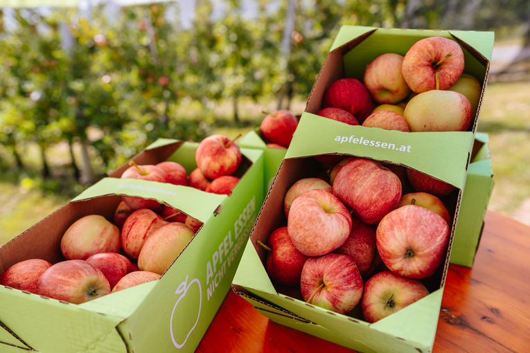 © LK Steiermark/Fuchs