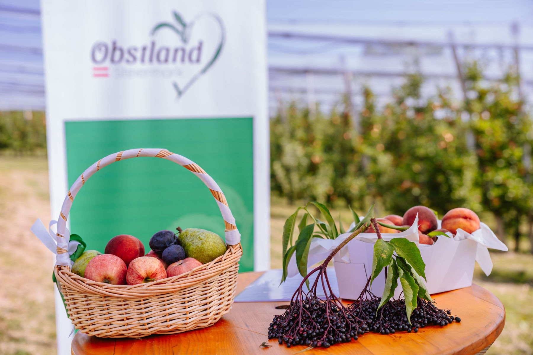 © LK Steiermark/Fuchs