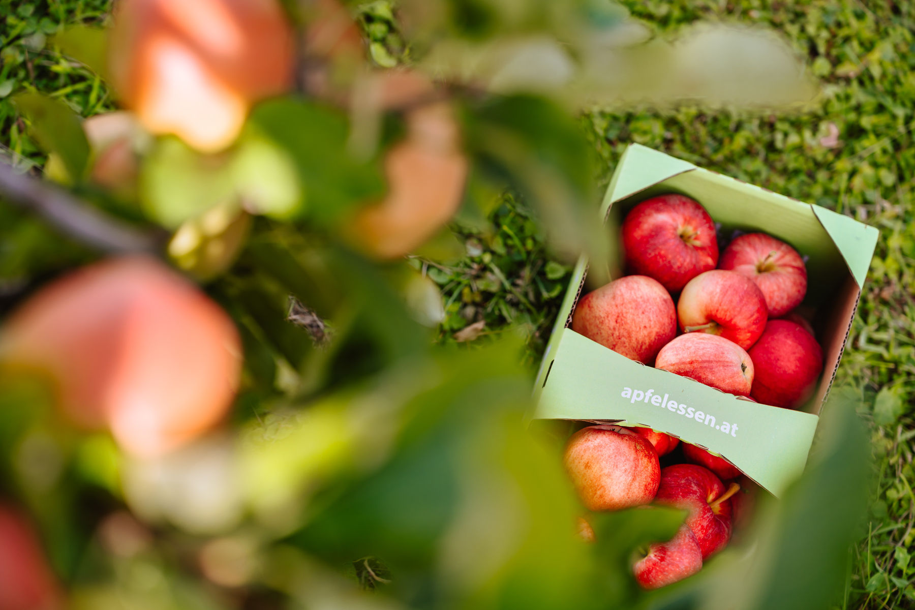 © LK Steiermark/Fuchs