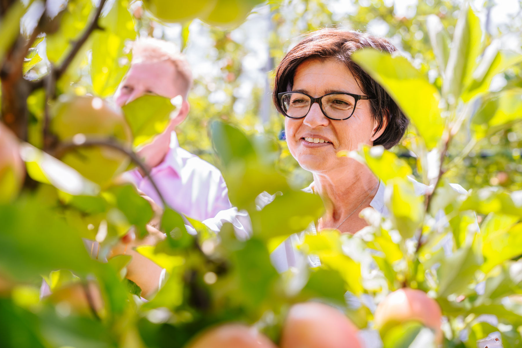 © LK Steiermark/Fuchs