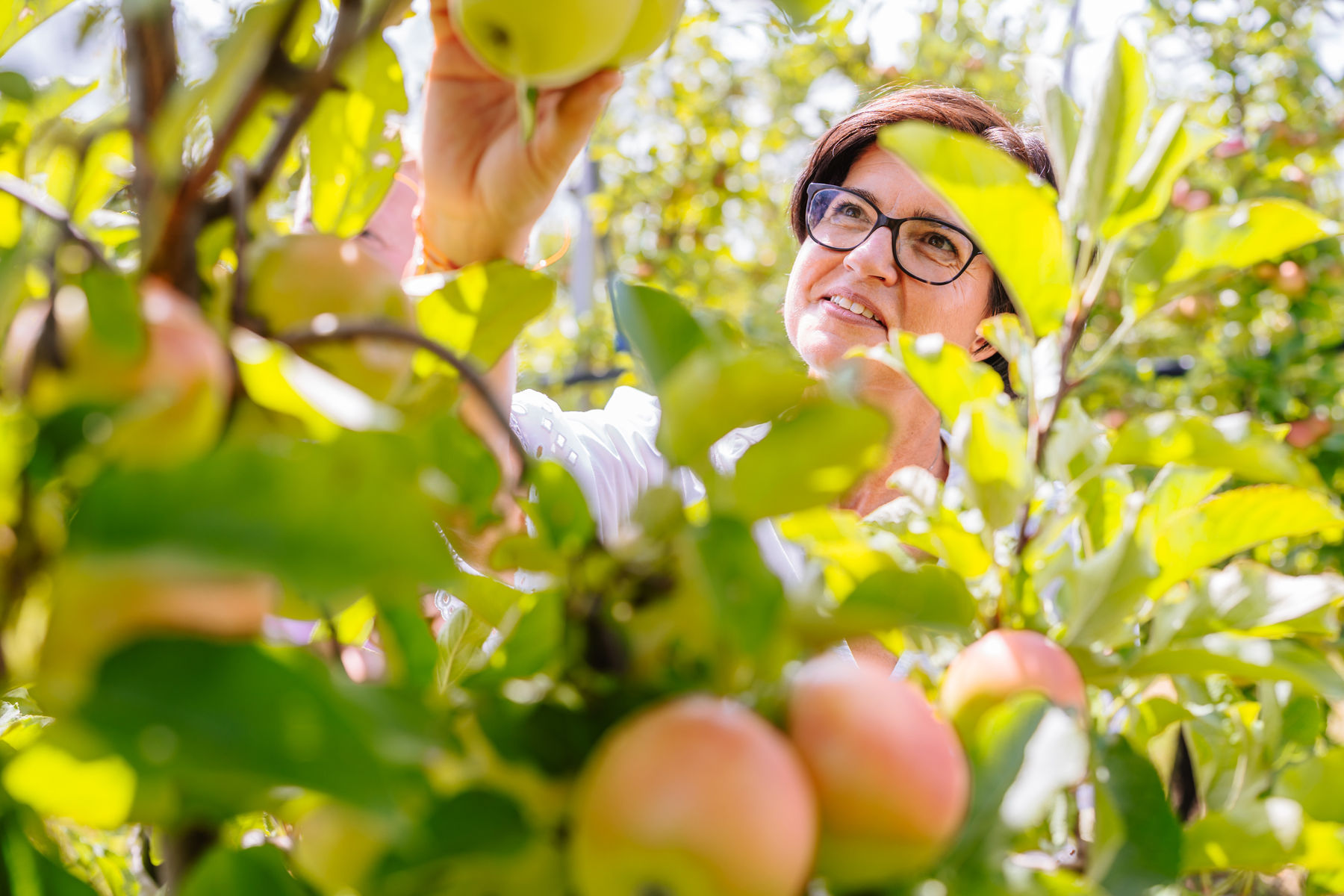 © LK Steiermark/Fuchs