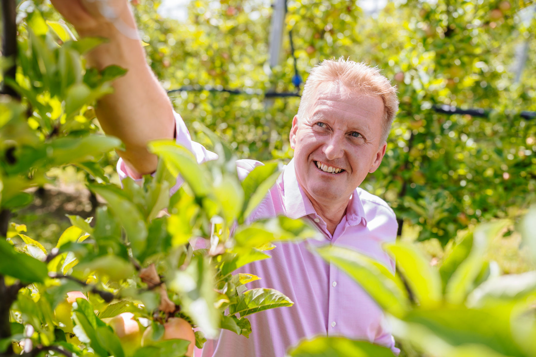 © LK Steiermark/Fuchs