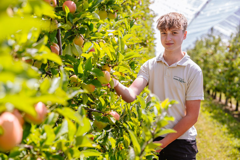 © LK Steiermark/Fuchs