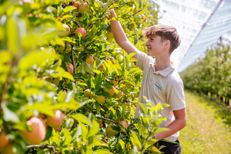 © LK Steiermark/Fuchs