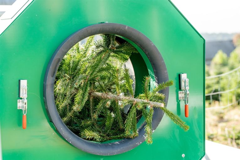 © Georg Pomaßl/www.weihnachtsbaum.at