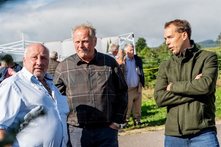 © Georg Pomaßl/www.weihnachtsbaum.at © Georg Pomaßl/www.weihnachtsbaum.at