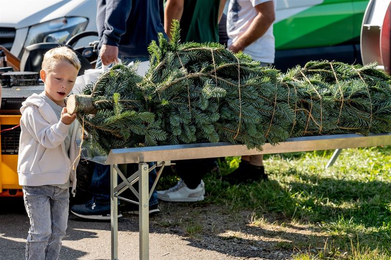 © Georg Pomaßl/www.weihnachtsbaum.at © Georg Pomaßl/www.weihnachtsbaum.at