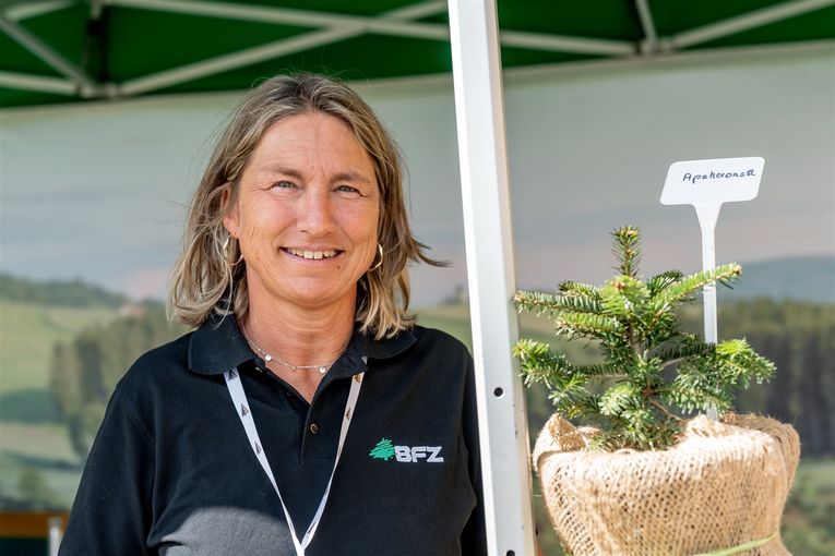 © Georg Pomaßl/www.weihnachtsbaum.at © Georg Pomaßl/www.weihnachtsbaum.at