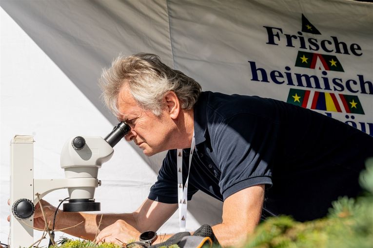 © Georg Pomaßl/www.weihnachtsbaum.at © Georg Pomaßl/www.weihnachtsbaum.at