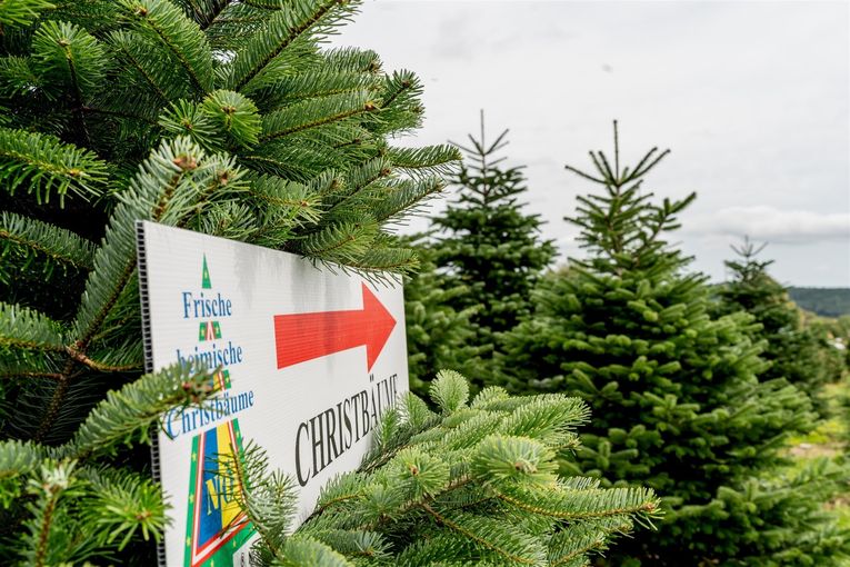 © Georg Pomaßl/www.weihnachtsbaum.at