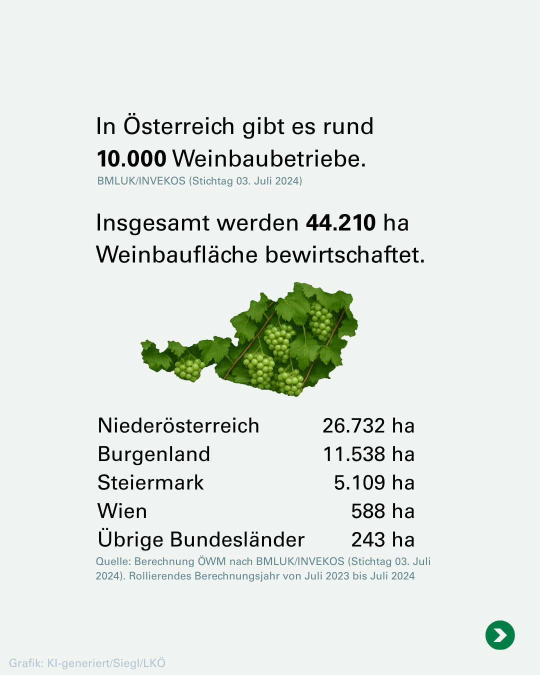 25_09_02_Weinernte_PK_1.png © LKÖ/Siegl