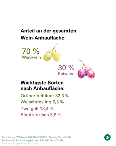25_09_02_Weinernte_PK_3.png © LKÖ/Siegl