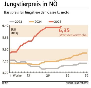Grafik Stierpreis 36_2025.jpg © LK NÖ