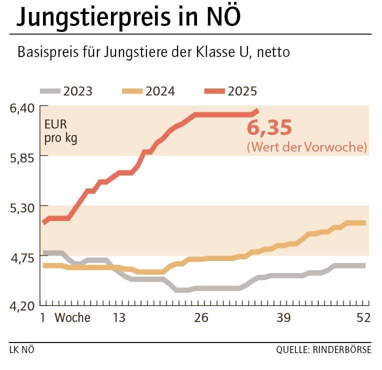 Grafik Stierpreis 36_2025.jpg © LK NÖ