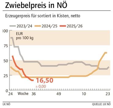 Grafik Zwiebelpreis 36_2025.jpg © LK NÖ