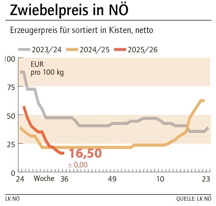 Grafik Zwiebelpreis 36_2025.jpg © LK NÖ Grafik Zwiebelpreis 36_2025.jpg © LK NÖ