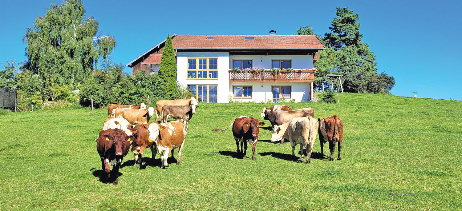 Wenn der Hof den vollen Einsatz erfordert.jpg © Standl Wenn der Hof den vollen Einsatz erfordert.jpg © Standl