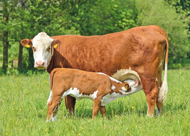 [1756880178891740_7.jpg]