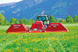 Ampfer im Grünland: Ärgernis, Ausdauer und Auswege.jpg © Hatheier