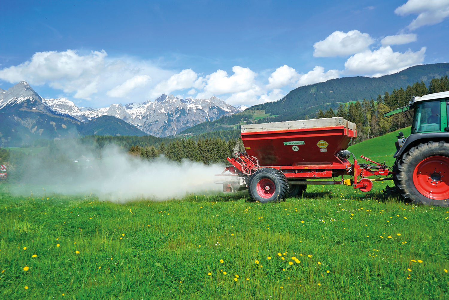 Ampfer im Grünland: Ärgernis, Ausdauer und Auswege.jpg © Hatheier