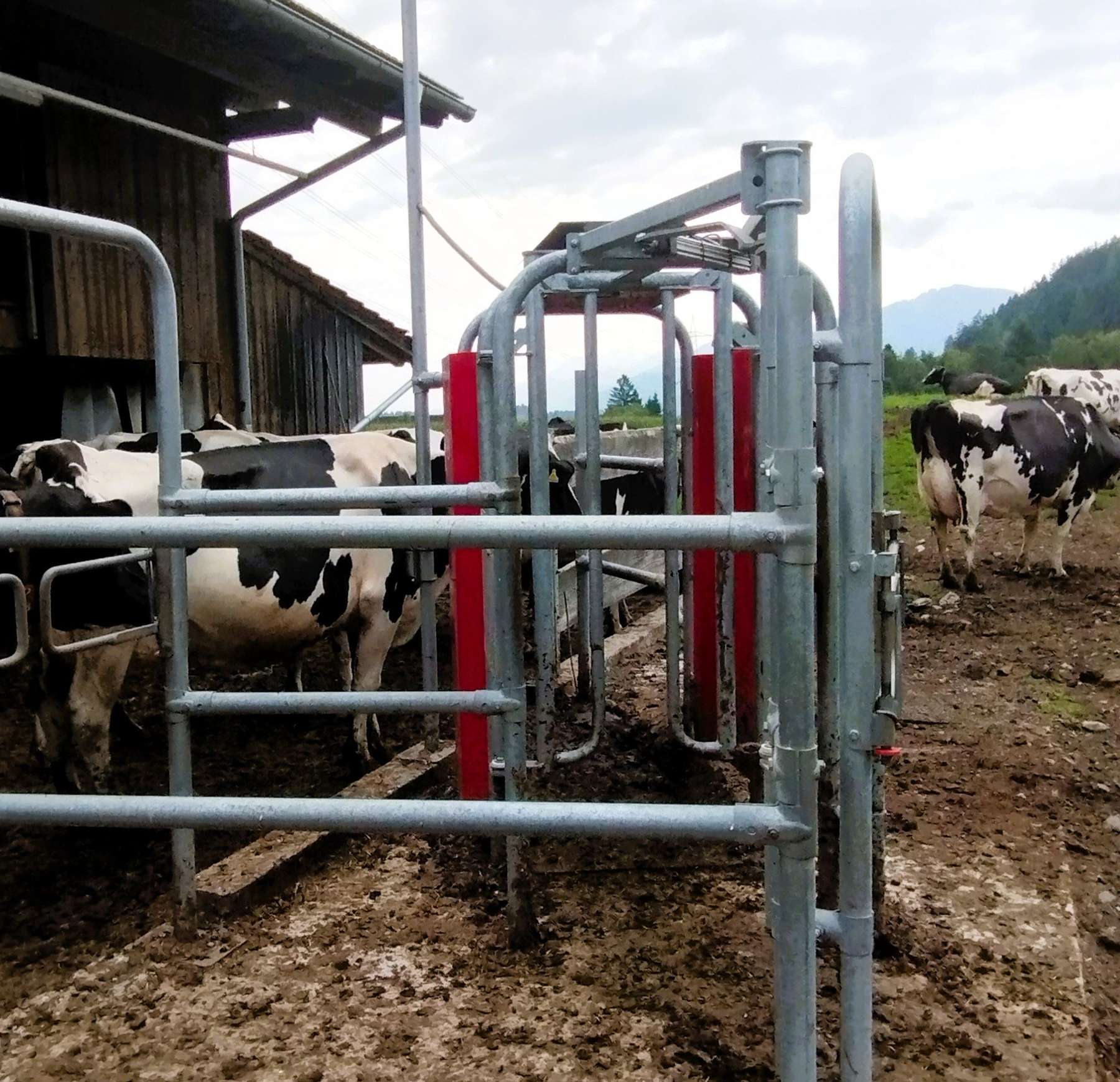 Foto 2.jpg © Tamara Glantschnig/LK Kärnten Foto 2.jpg © Tamara Glantschnig/LK Kärnten