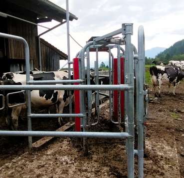 Foto 2.jpg © Tamara Glantschnig/LK Kärnten